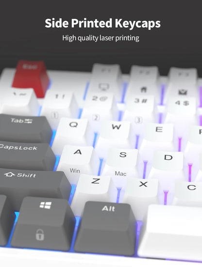 RK R87 Brazilian Portuguese Mechanical Keyboard 87 Keys RGB Backlit Hot-Swappable Gaming Keyboard PBT Keycaps RK ROYAL KLUDGE