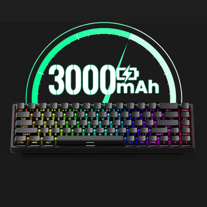 Akko MonsGeek FUN68 HE Magnetic Switch Keyboard 65% Rapid Trigger 0.005mm 8K ARGB Wired Esports Gaming Keyboard for Gamer