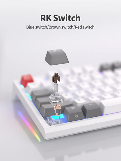 RK R87 Brazilian Portuguese Mechanical Keyboard 87 Keys RGB Backlit Hot-Swappable Gaming Keyboard PBT Keycaps RK ROYAL KLUDGE