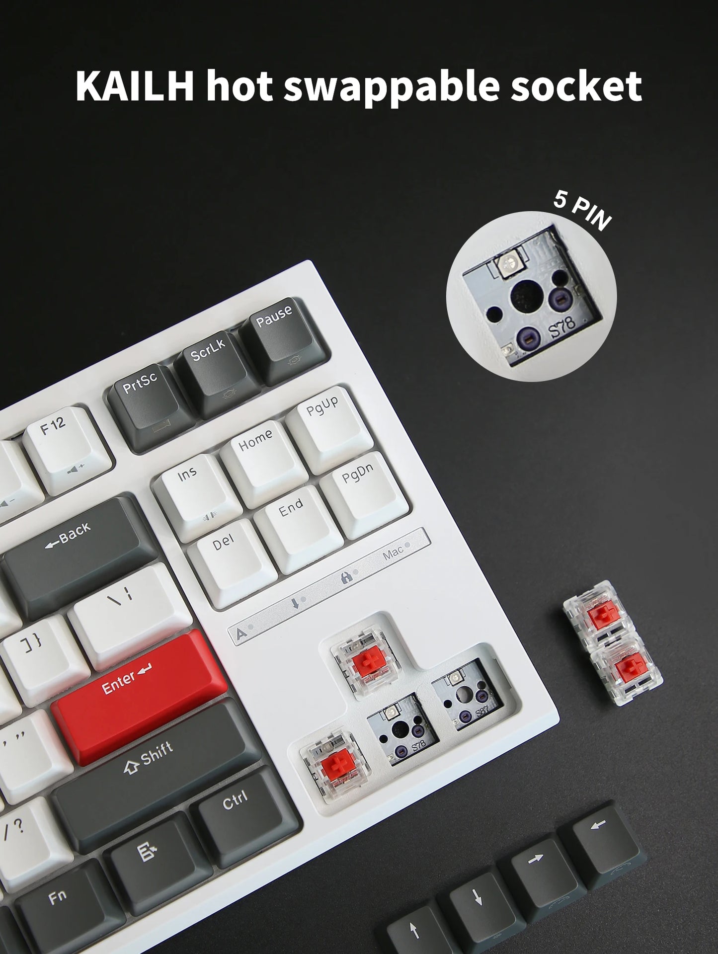 RK R87 Brazilian Portuguese Mechanical Keyboard 87 Keys RGB Backlit Hot-Swappable Gaming Keyboard PBT Keycaps RK ROYAL KLUDGE